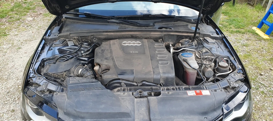 Audi A4 cena 28000 przebieg: 259368, rok produkcji 2008 z Ziębice małe 154